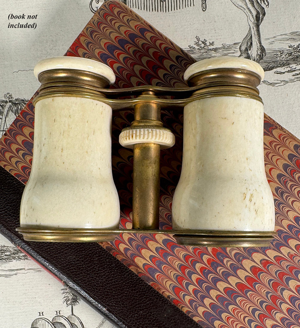 Antique French Opera Glasses, Binocular, 19th Century Carved Ivory