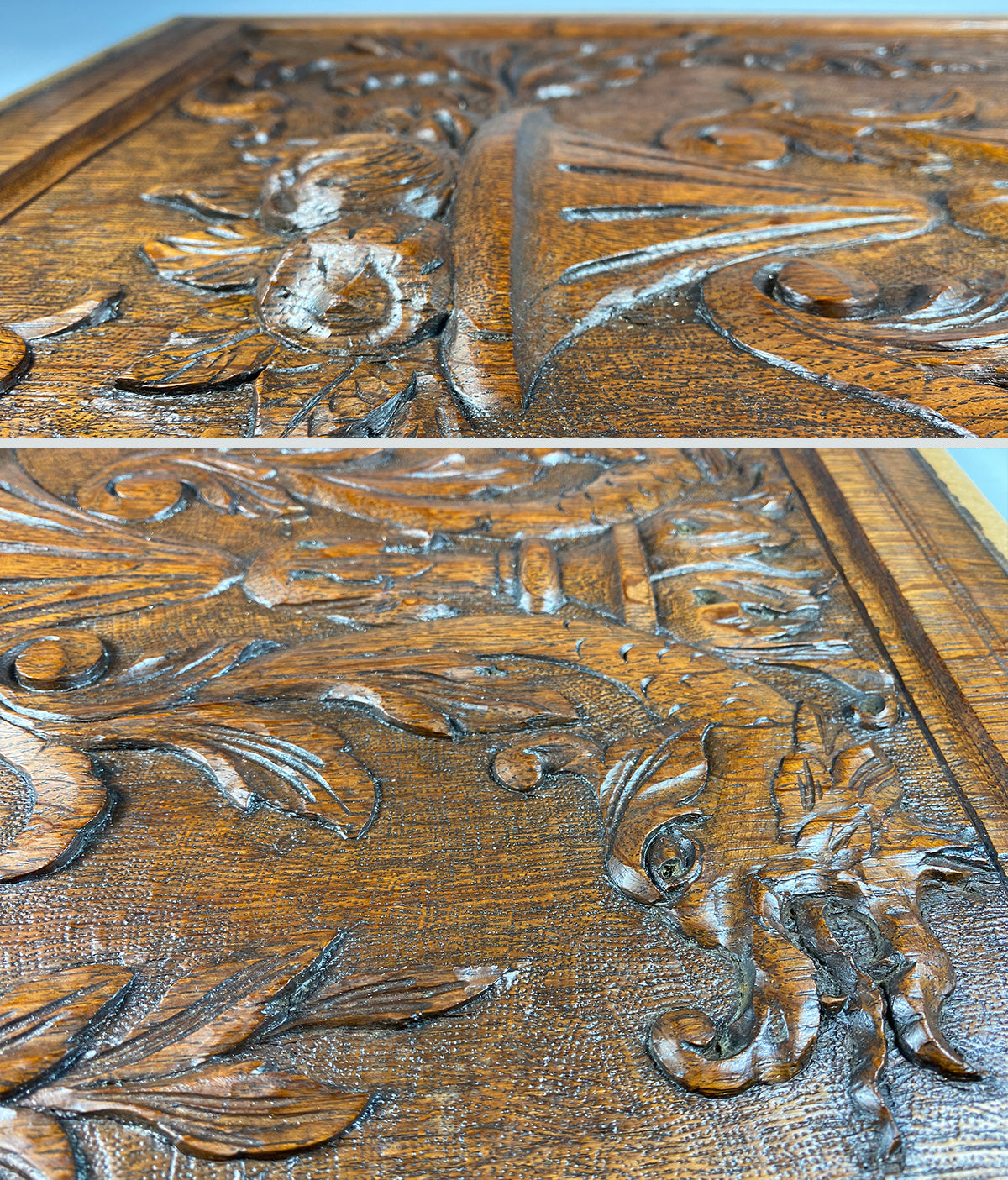 Large Antique French Neo-Renaisance Cabinet Panel, Griffen or Dolphin, Fruit and Urn