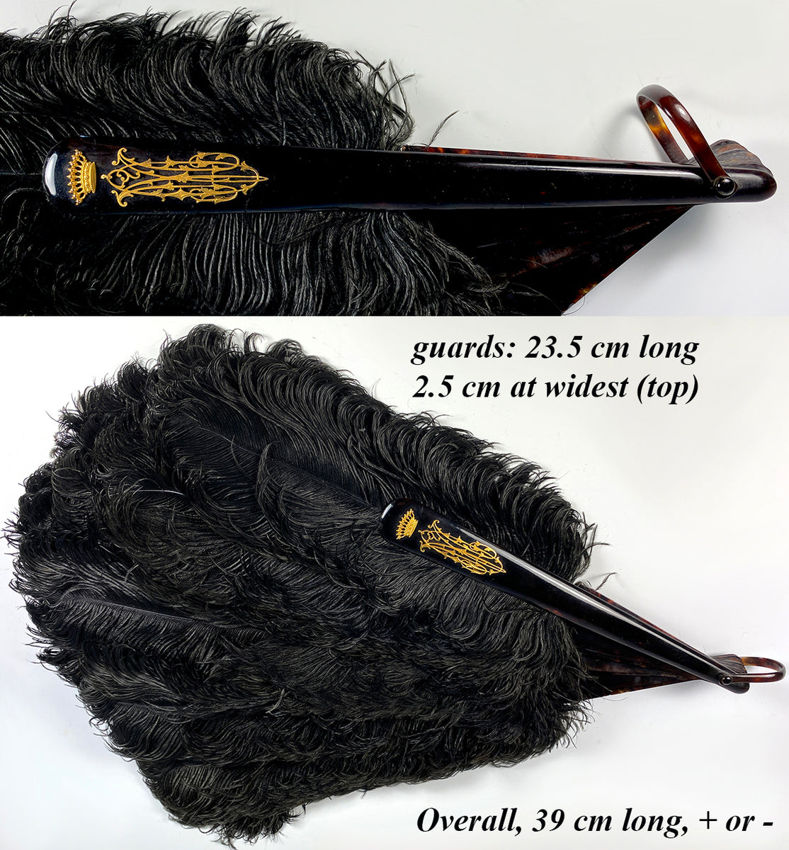 Antique French Hand Fan, 81 cm Span, Black Ostrich Feather and Tortois –  Antiques & Uncommon Treasure