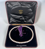 Antique Loose 8 + mm Akoya Pearls, 46 in All and 16" Long Strand, Need to be Strung, 8mm