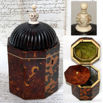 Rare Antique Victorian Era Tortoise Shell & Carved Ivory Single Well Tea Caddy, Domed Top