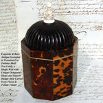 Rare Antique Victorian Era Tortoise Shell & Carved Ivory Single Well Tea Caddy, Domed Top
