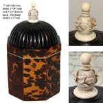 Rare Antique Victorian Era Tortoise Shell & Carved Ivory Single Well Tea Caddy, Domed Top