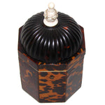 Rare Antique Victorian Era Tortoise Shell & Carved Ivory Single Well Tea Caddy, Domed Top