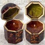 Rare Antique Victorian Era Tortoise Shell & Carved Ivory Single Well Tea Caddy, Domed Top