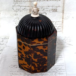 Rare Antique Victorian Era Tortoise Shell & Carved Ivory Single Well Tea Caddy, Domed Top