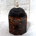 Rare Antique Victorian Era Tortoise Shell & Carved Ivory Single Well Tea Caddy, Domed Top