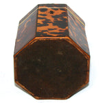 Rare Antique Victorian Era Tortoise Shell & Carved Ivory Single Well Tea Caddy, Domed Top
