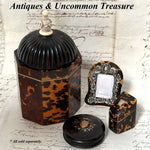 Rare Antique Victorian Era Tortoise Shell & Carved Ivory Single Well Tea Caddy, Domed Top