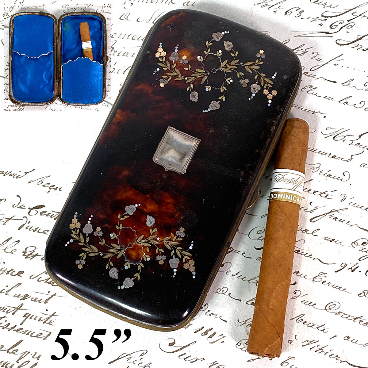 Antique French Tortoise Shell Cigar or Spectacles Case, Etui - Tortoiseshell & Pique