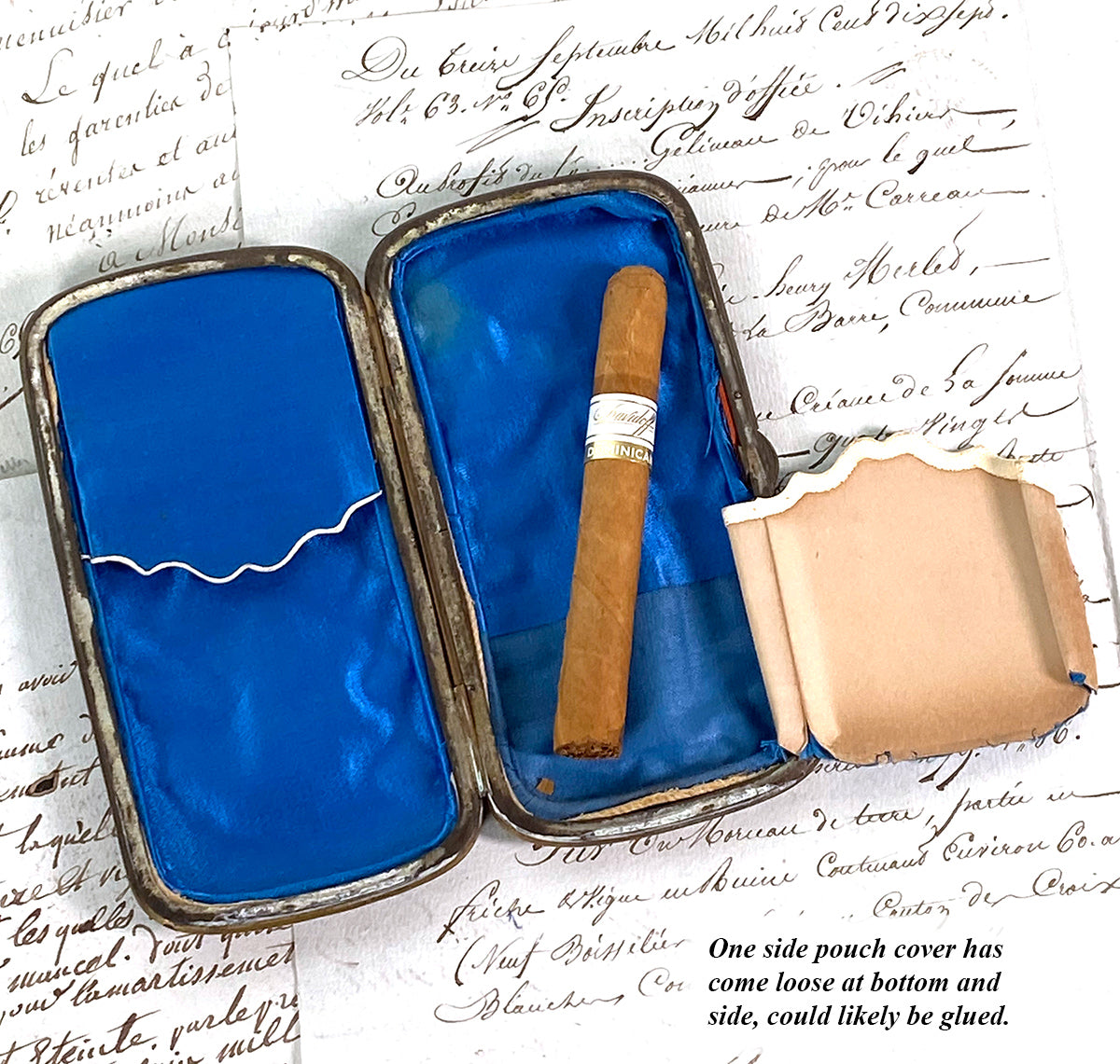 Antique French Tortoise Shell Cigar or Spectacles Case, Etui - Tortoiseshell & Pique