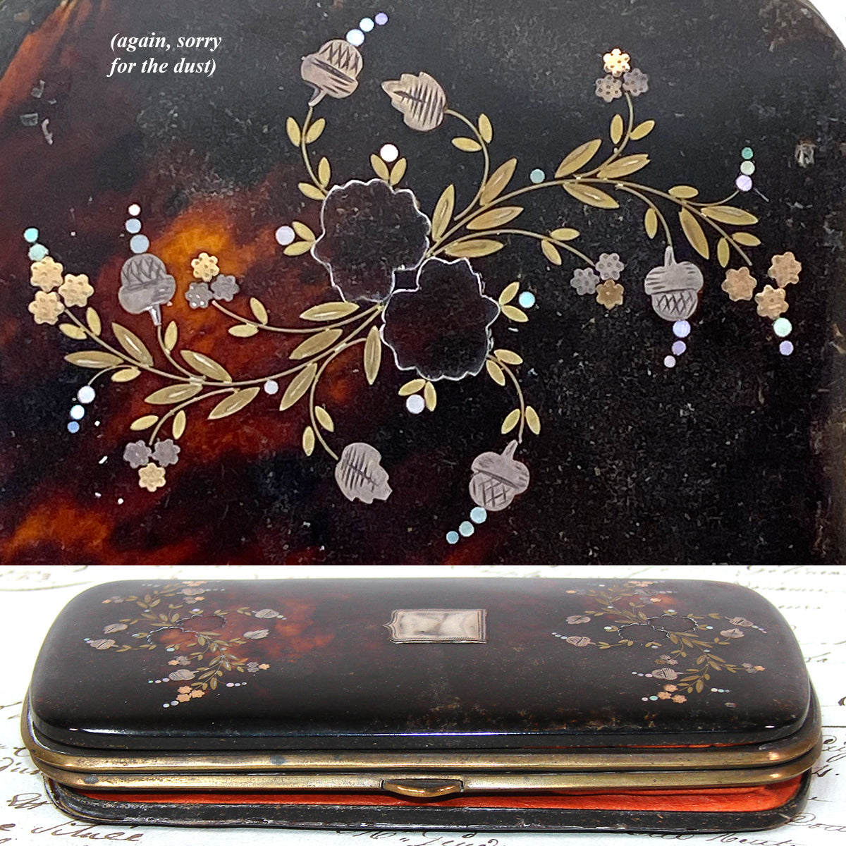 Antique French Tortoise Shell Cigar or Spectacles Case, Etui - Tortoiseshell & Pique
