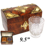 Gorgeous Antique French Burled Walnut Tea Caddy, a Domed Box or Chest with Gothic Revival Style Brass Accents