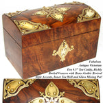 Gorgeous Antique French Burled Walnut Tea Caddy, a Domed Box or Chest with Gothic Revival Style Brass Accents