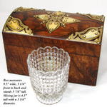 Gorgeous Antique French Burled Walnut Tea Caddy, a Domed Box or Chest with Gothic Revival Style Brass Accents