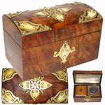 Gorgeous Antique French Burled Walnut Tea Caddy, a Domed Box or Chest with Gothic Revival Style Brass Accents