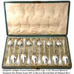 Antique French Louis XIV or Rococo Revival Style 12pc Teaspoon Set, Orig. Fitted Box