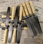Antique Napoleon III 12pc Dinner Knife Set, Carved Ivory Handles & 2pc Matching Serving Pieces