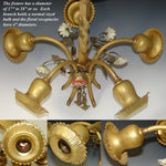 Lovely Vintage French 5-Light 18" Chandelier, Gilt Ormolu with Hand Painted Porcelain Flowers
