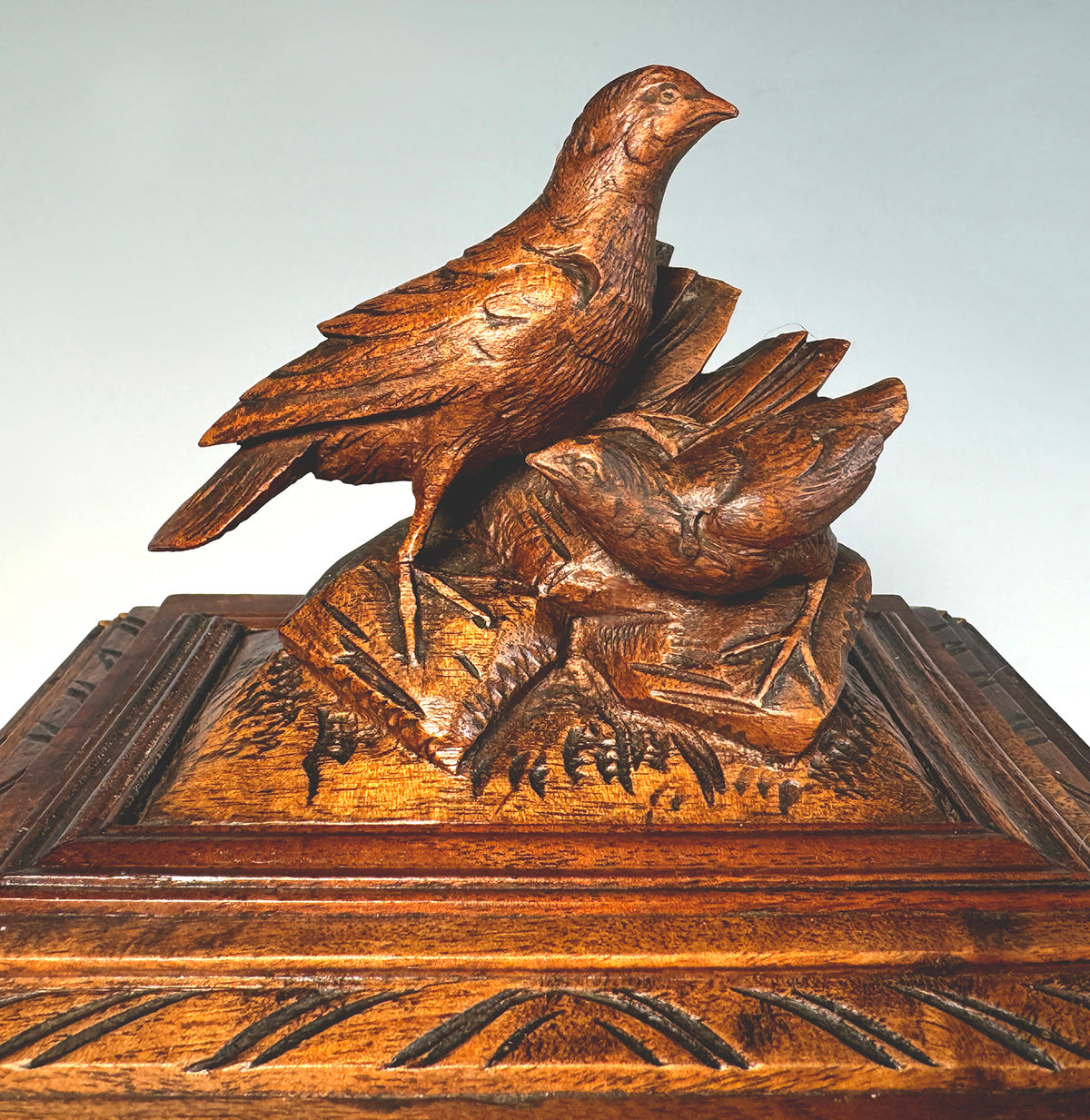 Antique 19th Century Victorian Hand Carved Swiss Black Forest Cigar Caddy, Birds up Top, Holds 18 Cigars