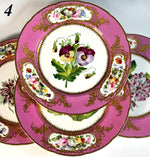 RARE set of 4 Antique Hand Painted Cabinet 9.25" Plates, Daniell, London, Raised Gold Enamel