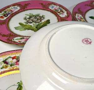 RARE set of 4 Antique Hand Painted Cabinet 9.25" Plates, Daniell, London, Raised Gold Enamel