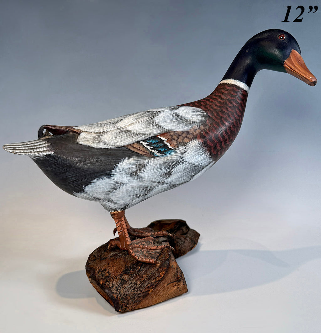 Stunning Vintage Hand Carved and Hand Painted Mallard Duck, 40+ Years Old, One Owner, Decoy