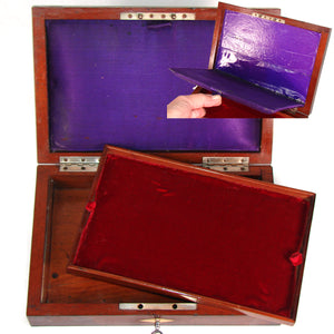 Antique French Napoleon III 10.5" Jewelry or Specimen Box, Rosewood with Boulle Style Inlay