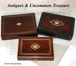 Antique French Napoleon III 10.5" Jewelry or Specimen Box, Rosewood with Boulle Style Inlay