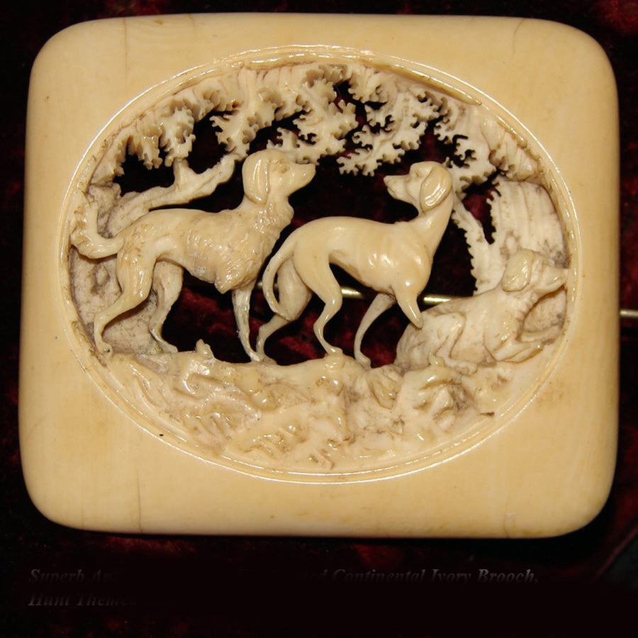 RARE Antique c.1830 to Early Victorian Carved Ivory Brooch w 3 Dogs, H ...