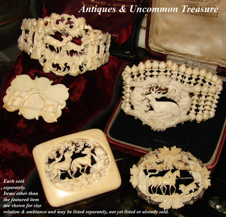 Ivory Pin RARE Antique c.1830 to Early Victorian Carved Ivory Brooch w 3 Dogs, H ...