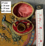 Antique French 19th century Petit Novelty Sewing Tools Etui, a Real Walnut, Thimble, Scissors, Etc.