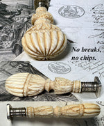 Stunning Antique French Hand Carved Ivory Sceau, Wax Seal with Crown Monogram Untitled Noble