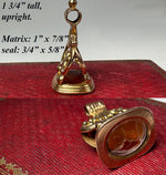 Antique Victorian Era Gold Plated Wax Seal or Sceau, Fob Seal, Lion Rampant