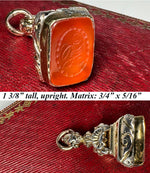 Antique Victorian Era Gold Plate & Carnelian Wax Seal or Sceau, Fob Seal, Monogram
