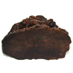 Antique Swiss Black Forest Carved Wood Tree Stump Match or Toothpick Holder with FOX