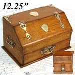 Antique Edwardian Era English Oak & Brass Cigar Chest, Mechanical & "1902 Regatta" Engravings