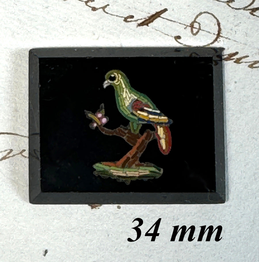 Pristine Antique Italian Unmounted Micro Mosaic Plaque with Parrot for Necklace, Brooch, Pendant