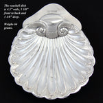 Antique English Hallmarked Sterling Silver Seashell Shaped Condiment Dish, Orig. Box