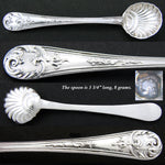 Antique English Hallmarked Sterling Silver Seashell Shaped Condiment Dish, Orig. Box