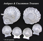 Antique English Hallmarked Sterling Silver Seashell Shaped Condiment Dish, Orig. Box