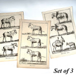 Three Original 18th Century Diderot Encyclopédie Horse Harness Engravings, Louis-Jacques Goussier
