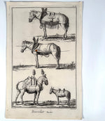 Three Original 18th Century Diderot Encyclopédie Horse Harness Engravings, Louis-Jacques Goussier