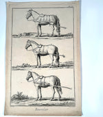 Three Original 18th Century Diderot Encyclopédie Horse Harness Engravings, Louis-Jacques Goussier