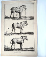Three Original 18th Century Diderot Encyclopédie Horse Harness Engravings, Louis-Jacques Goussier