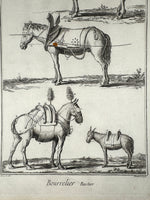 Three Original 18th Century Diderot Encyclopédie Horse Harness Engravings, Louis-Jacques Goussier