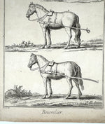 Three Original 18th Century Diderot Encyclopédie Horse Harness Engravings, Louis-Jacques Goussier