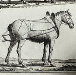 Three Original 18th Century Diderot Encyclopédie Horse Harness Engravings, Louis-Jacques Goussier