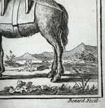 Three Original 18th Century Diderot Encyclopédie Horse Harness Engravings, Louis-Jacques Goussier