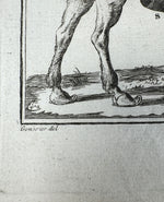 Three Original 18th Century Diderot Encyclopédie Horse Harness Engravings, Louis-Jacques Goussier